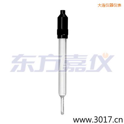 大連玻璃外殼無(wú)溫補(bǔ)兩線電導(dǎo)率電極