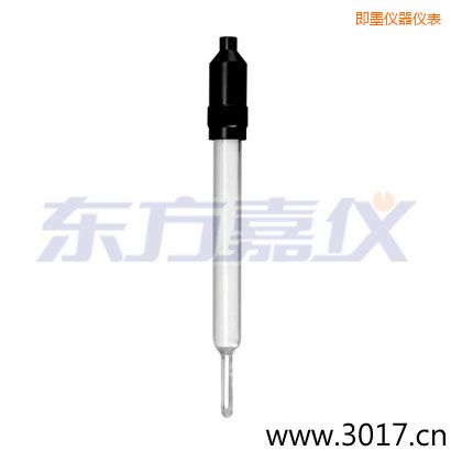 即墨玻璃外殼無(wú)溫補(bǔ)兩線電導(dǎo)率電極