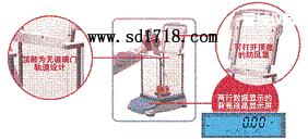 �x�����M����ƽ,3100g,0.01g