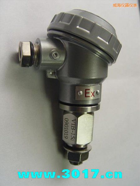 威海振動(dòng)信號(hào)變送器